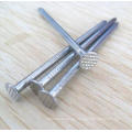 Common Round Iron Wire Nail